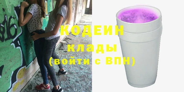 индика Инсар