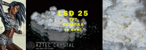 индика Инсар