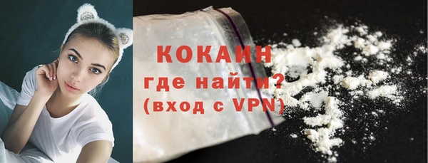 индика Инсар