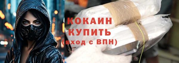 индика Инсар