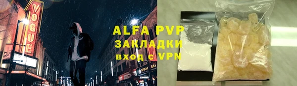 индика Инсар