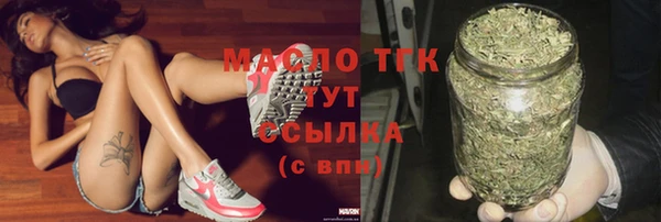 индика Инсар