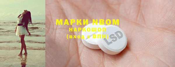 индика Инсар
