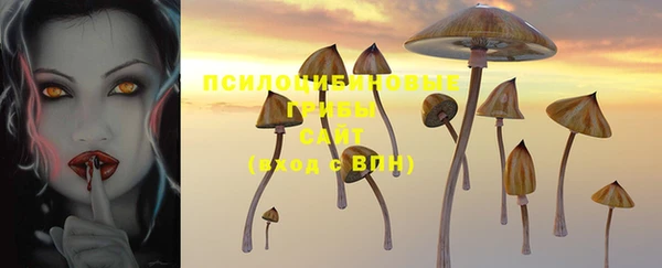 индика Инсар