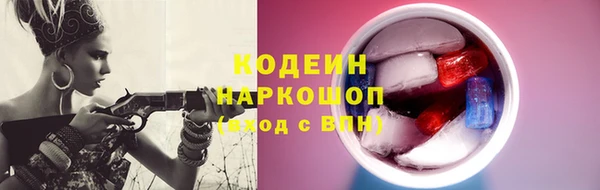 индика Инсар