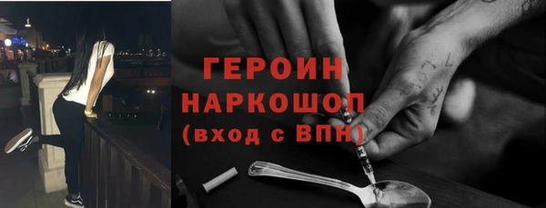 индика Инсар