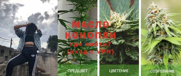 индика Инсар