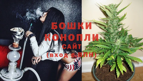индика Инсар