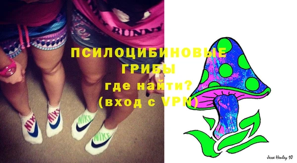 индика Инсар