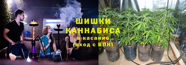 индика Инсар