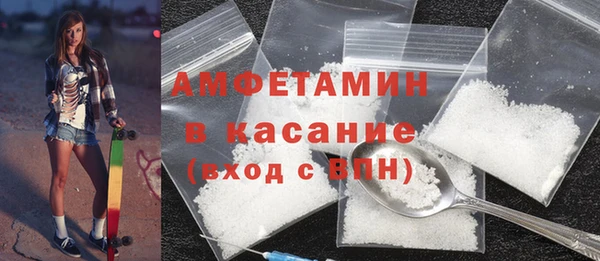 индика Инсар