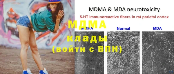 индика Инсар
