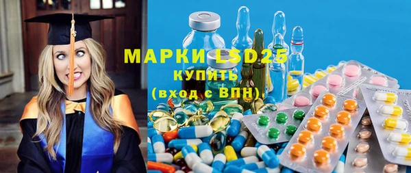 индика Инсар