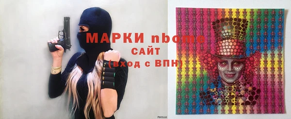 индика Инсар