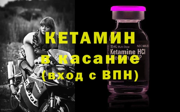 индика Инсар